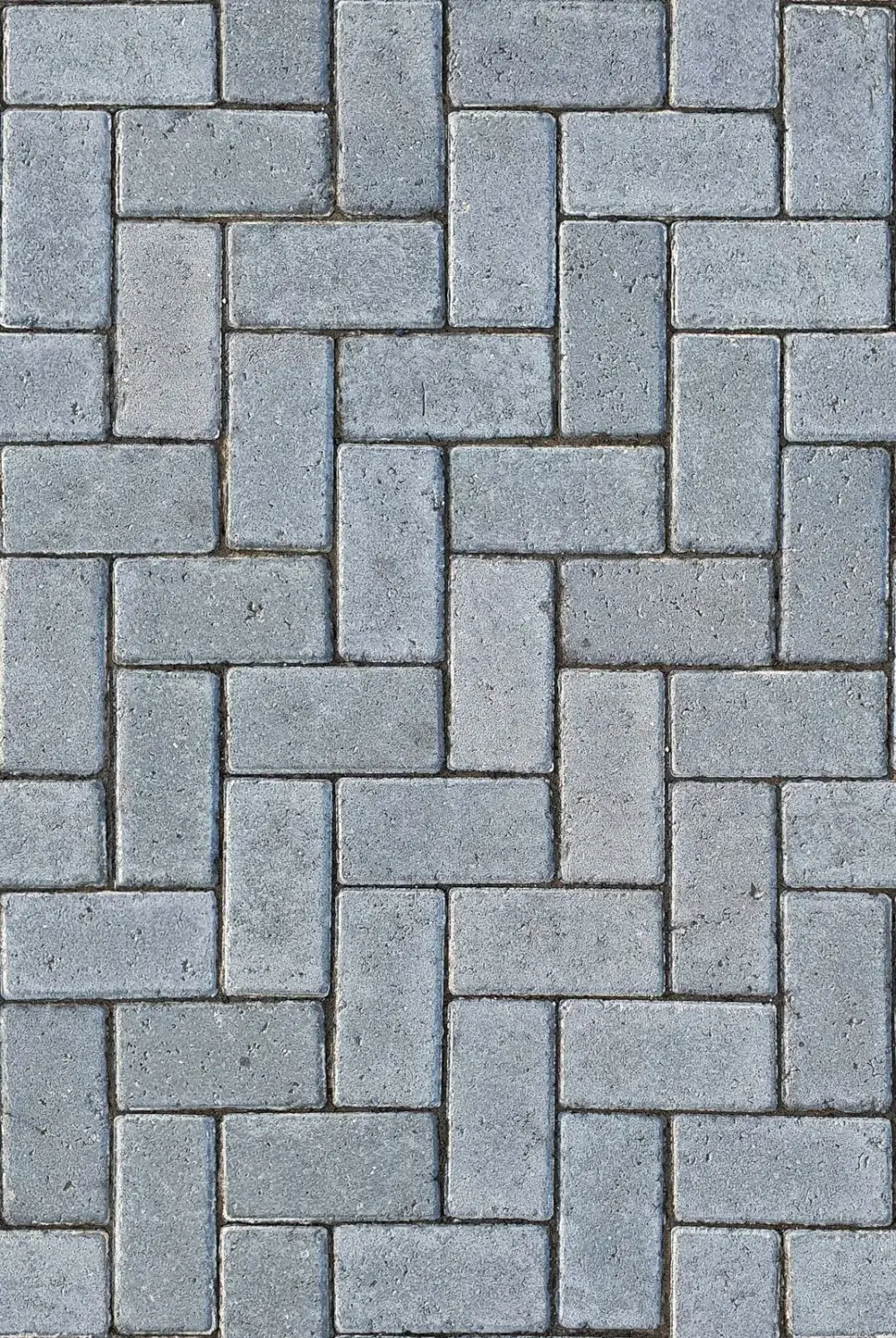 Interlocking & Paving — photo 2